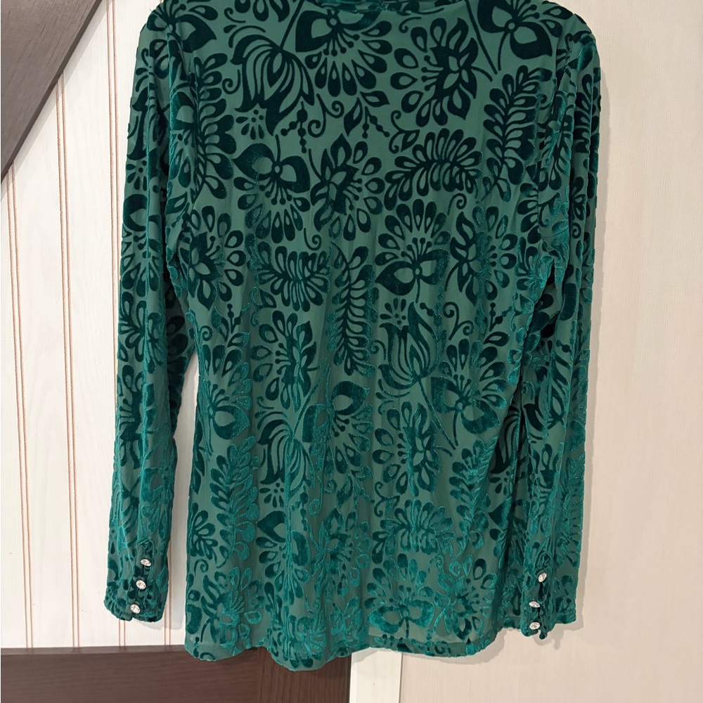 Soft Surroundings Small Burnout Green Velvet Turtle Neck Lined Top - Picture 6 of 10